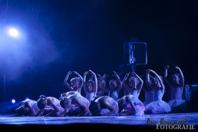 DSC_8753em.jpg