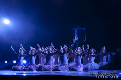 DSC_8755em.jpg