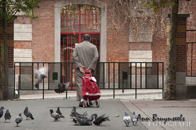 DSC_3810lr.jpg