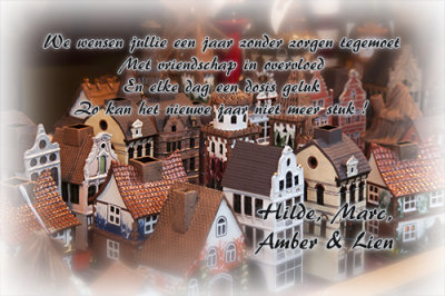 DSC_1742kerst.jpg