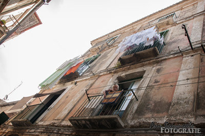DSC_3094lr.jpg