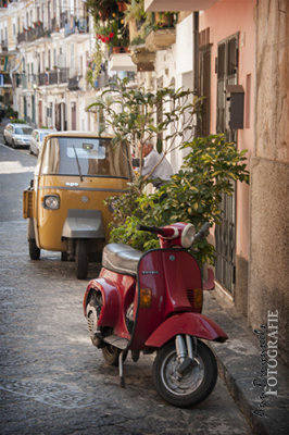 DSC_3126lr.jpg
