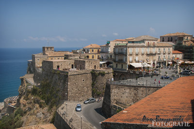 DSC_3184lr.jpg