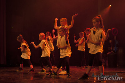 DSC_9085lr.jpg