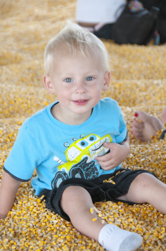 Luke In The Corn Pit