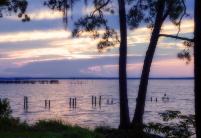 Wolf Bay Blues