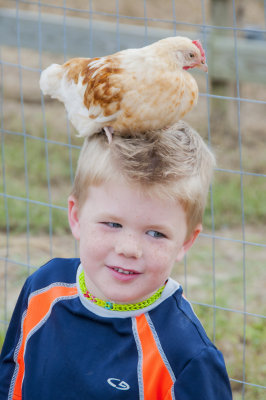 Is That A Chicken On Your Head?