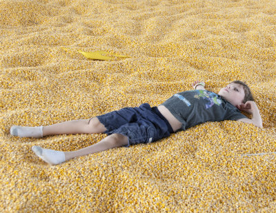 Eli In The Corn Box