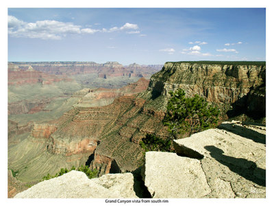 D207-0040a.jpg