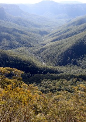 Gross Valley - from Evans Lookout