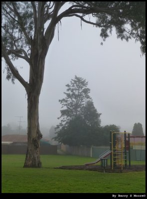 Fog - morning in June @ 8.30am