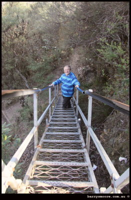 Ladder down to the lookout