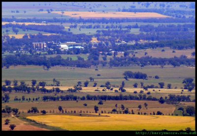 Peak Hill - from Burrabadine Lookout