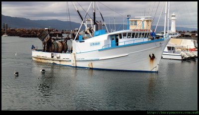 Giuseppa - fishing boat