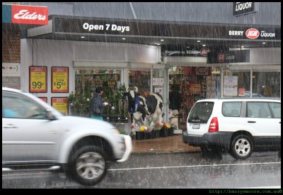 Open 7 days - even in the Rain