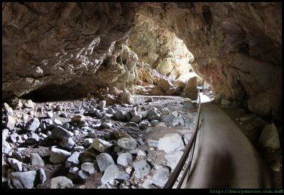 The Devils Coach House 1 - Jenolan caves