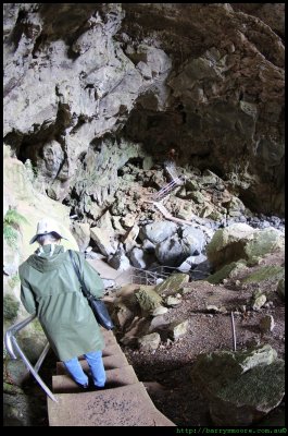 Devils Coach House and Sue - Jenolan Caves