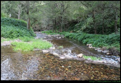 Jenolan Caves Creek - river crossing