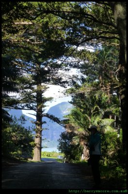 Main Road - walking to the lagoon