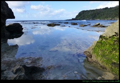 LHI - looking in a rock pool at Middle beach