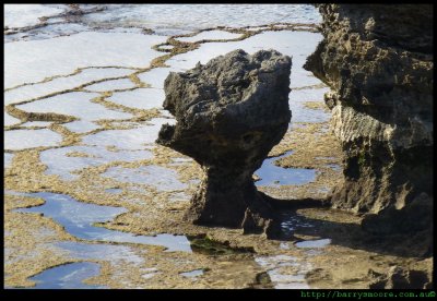 LHI -  rock formations on Middle beach