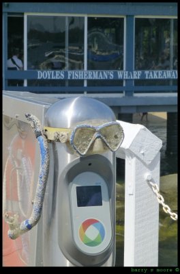 Watsons Bay Ferry Wharf ticket reader machine