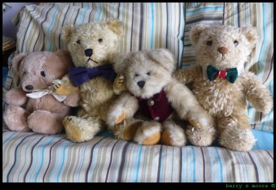 A Hug of Teddy Bears