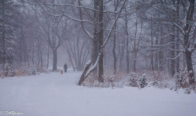 Winter Walk 1