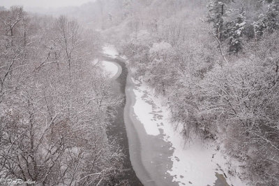 Highland Creek 3