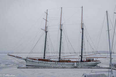 Tall Ship in Ice
