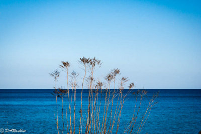 g9/01/709301/3/133453752.JEfdcH5N.jpg