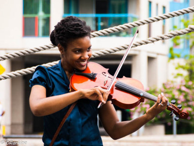 The Violinist