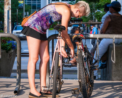 The Bicycle Rider