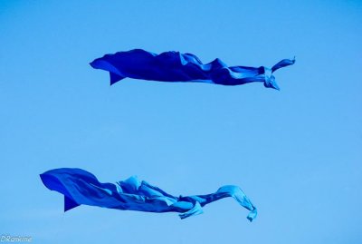 Kite Blue