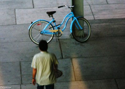 The Blue Bicycle