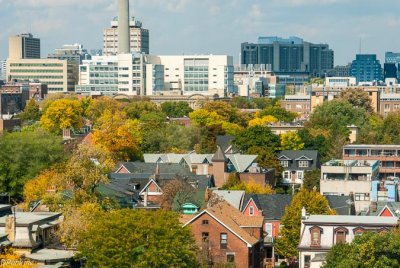 Fall Colours In Toronto