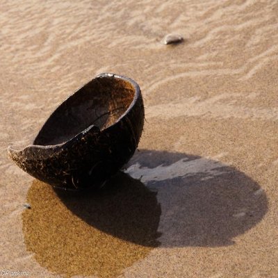 Coconut Discard