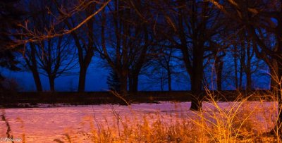 Lamp's Glow on Snow