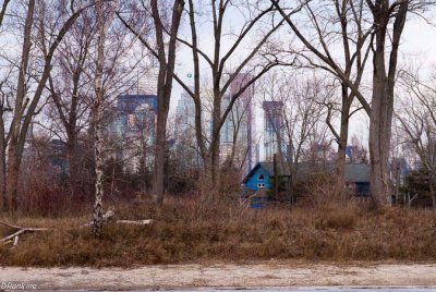 The Blue House
