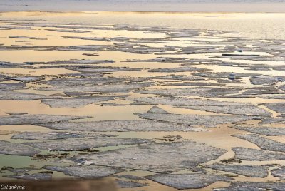 Ice on Lake