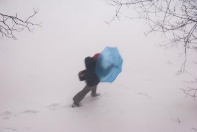 Battling the Blowing Snow