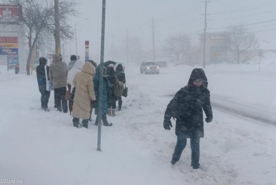 At the bus stop