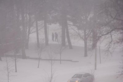 First Storm