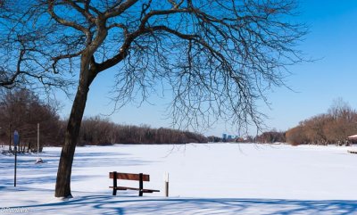 Solitude