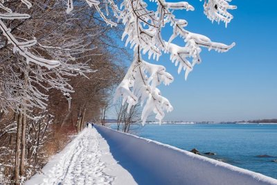 The Boardwalk In Snow