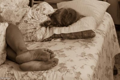 Day Time Nap