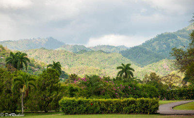 Jacks Hill in the Background