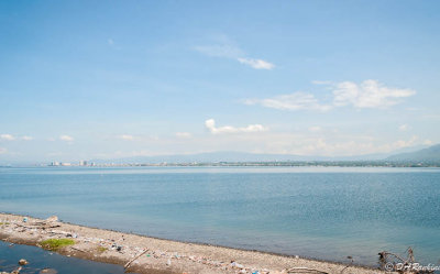 The City Across the Harbour