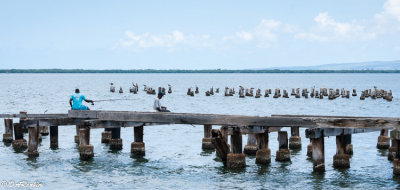 Fishing From the Old dock