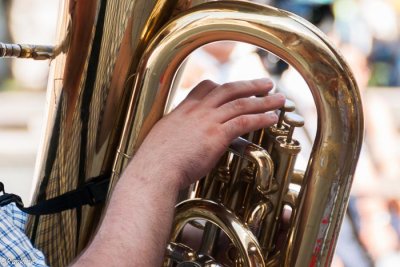 The Tuba Player